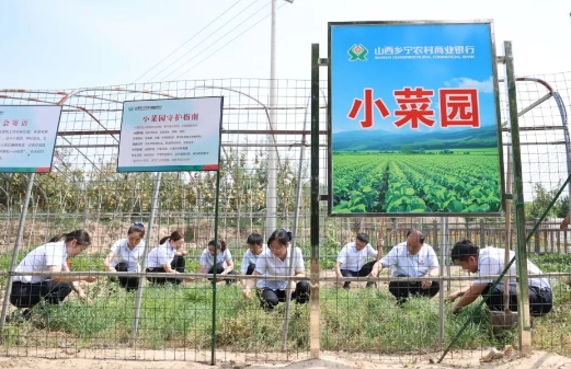微信截图_20250625154837.png