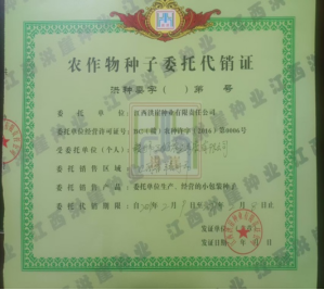 江西赣州何华新楷模 (60275.png