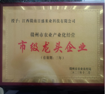 江西赣州何华新楷模 (604859.png