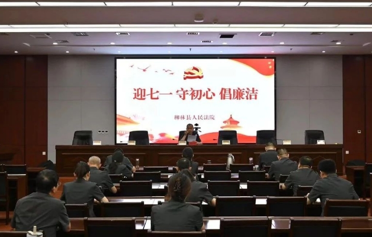 迎“七一”  守初心  倡廉洁——吕梁柳林法院开展迎“七一”主题党日活动