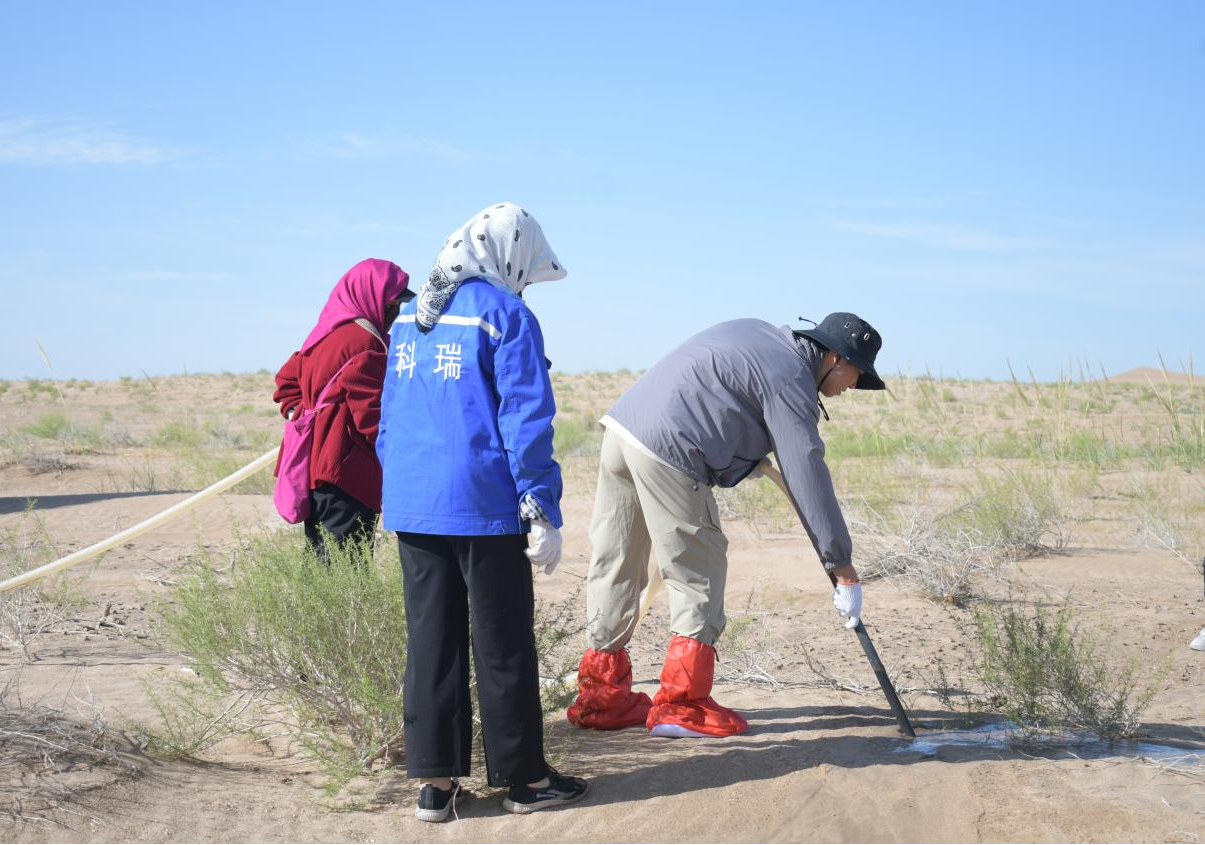 修缮设施织罗网，灌溉梭梭种希望——“沙退绿进，你我共行”绿染民勤青年助农乡村振兴