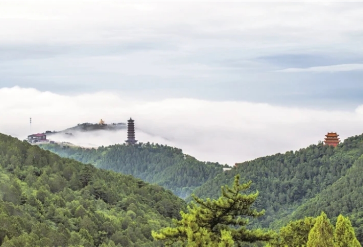 图片4.png 图片4.png