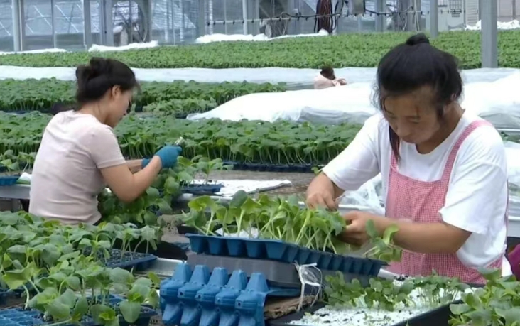 微信截图_20250715184102.png 微信截图_20250715184102.png