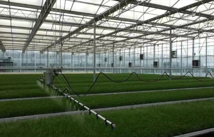 图片5.png 图片5.png