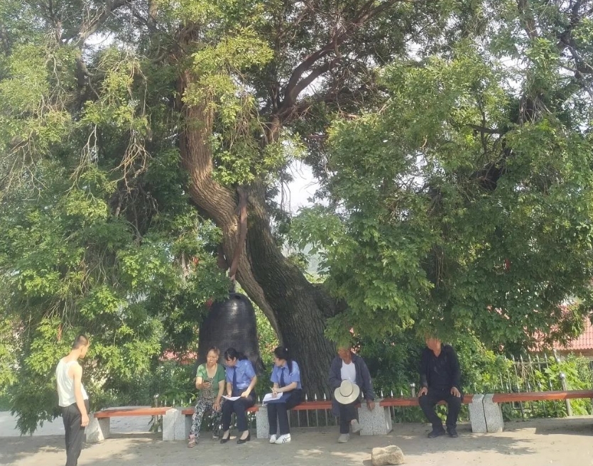 检察护农  古钟为证 ——太原娄烦县检察官古钟树下听民声解民忧