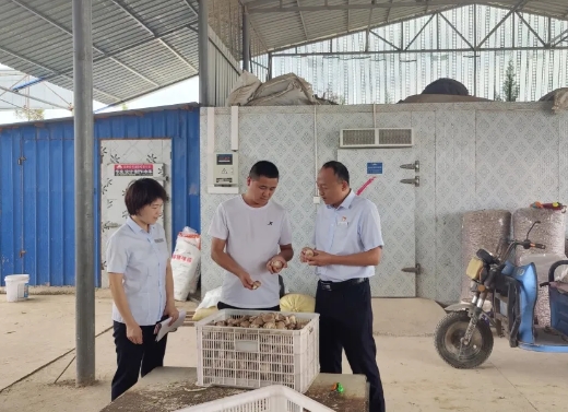 微信截图_20250719215651.png 微信截图_20250719215651.png