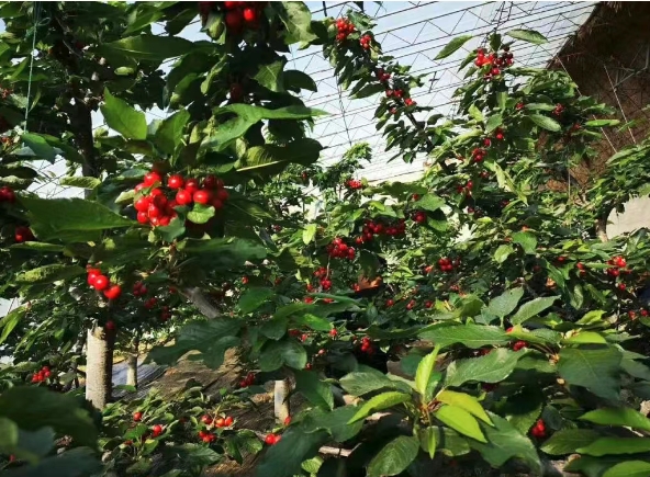 微信截图_20250728104119.png 微信截图_20250728104119.png