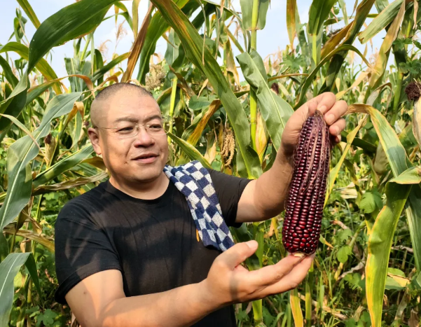 wechat_2025-08-05_140422_652.png
