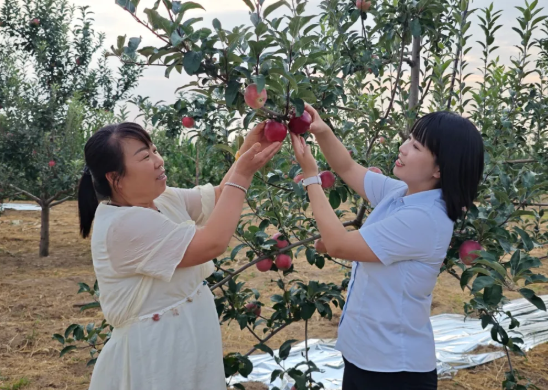 wechat_2025-08-06_134306_820.png wechat_2025-08-06_134306_820.png