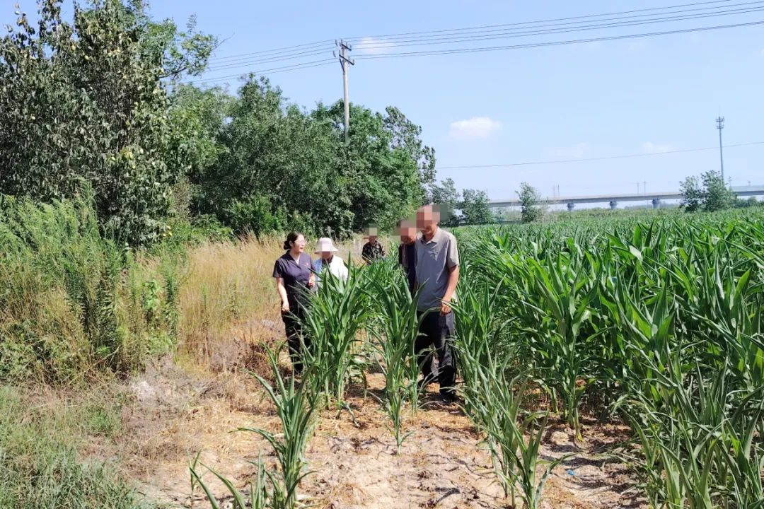 徐州中院：17户村民“复耕路”通了
