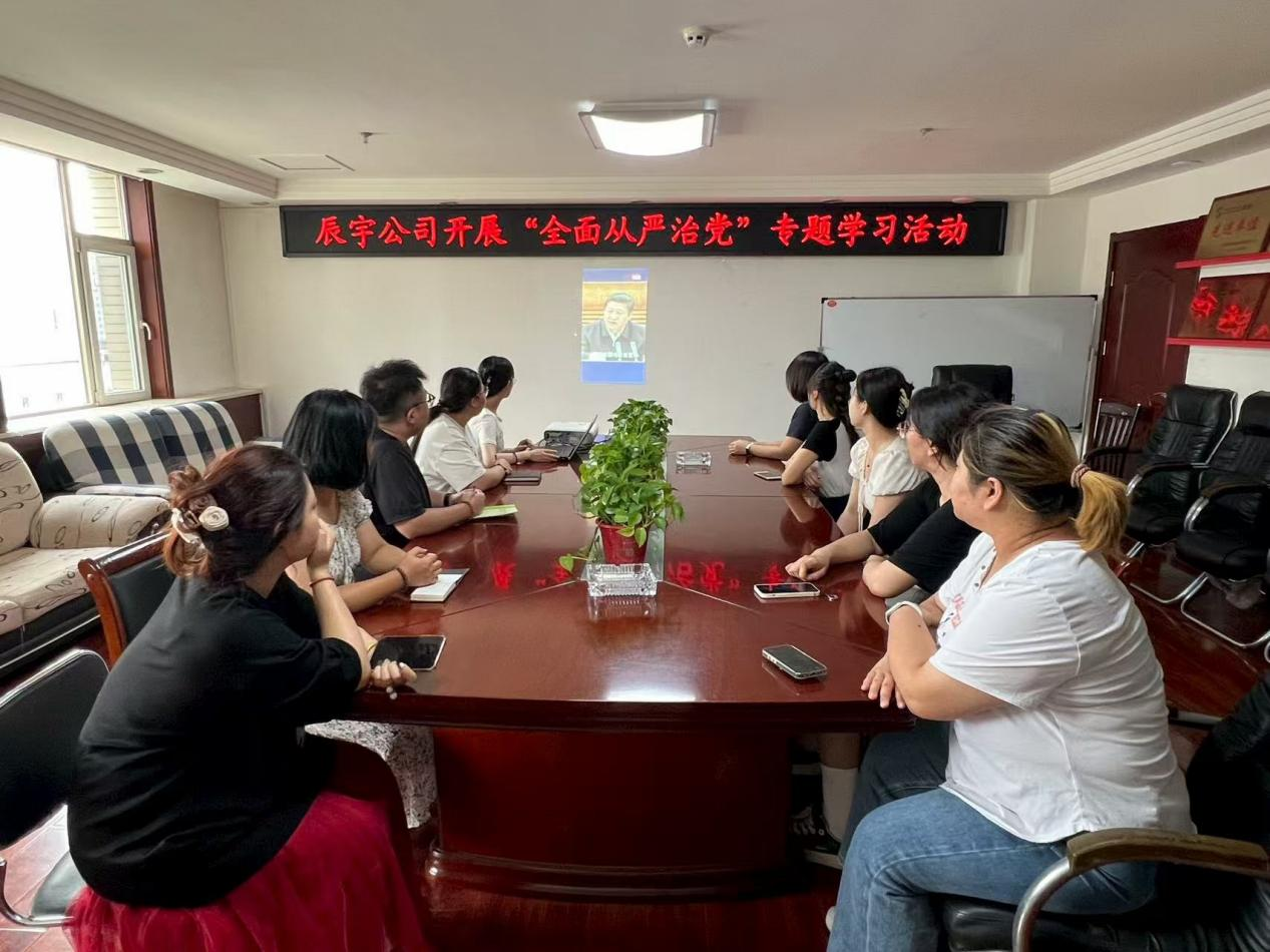领悟讲话精神，筑牢廉洁防线——太原市政集团辰宇公司党支部开展专题学习活动