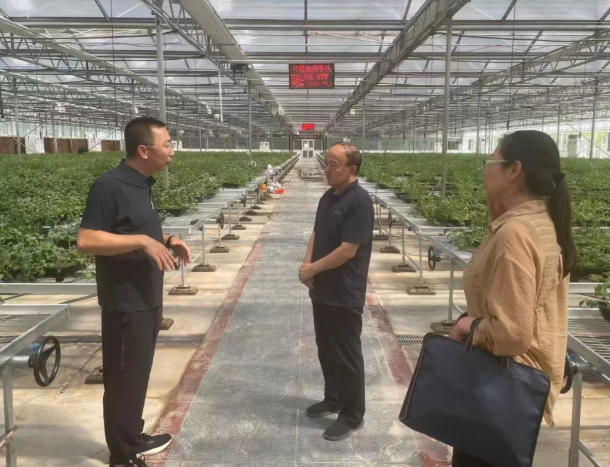 临汾市现代农业发展中心调研种子企业发展情况
