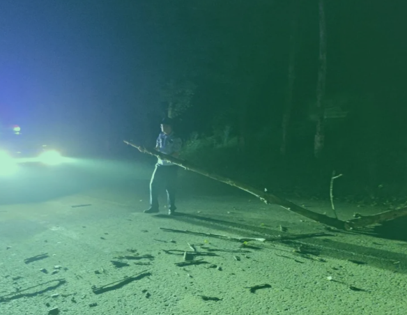 吕梁兴县公安局孟家坪派出所民警冒雨清理倒伏树木保障道路畅通