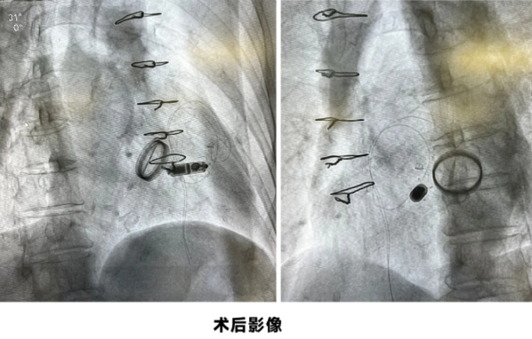 wechat_2025-09-01_152633_566.png
