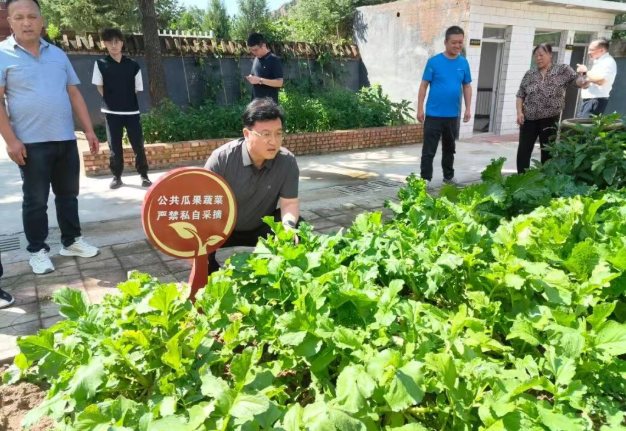 开辟“小菜园” 算好“经济账”——晋中灵石县党员干部心系养老、服务民生的履职证明