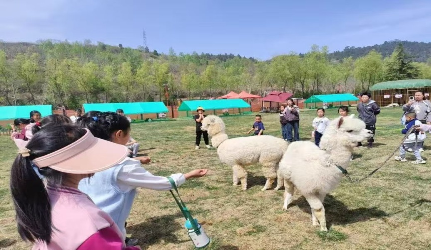 晋城沁水县：沉浸式文旅体验  激活乡村新魅力