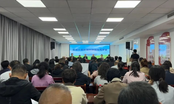 山西省小麦秋播拌种现场观摩会在运城市召开