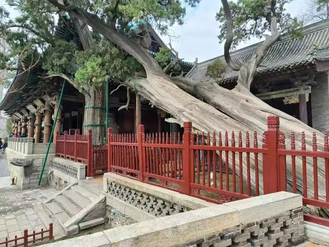 微信图片_20251013093253_9022_73.jpg 微信图片_20251013093253_9022_73.jpg