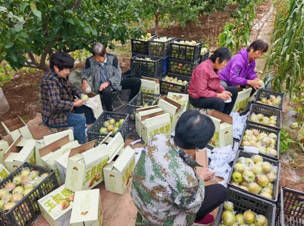 wechat_2025-10-14_155206_346.png wechat_2025-10-14_155206_346.png