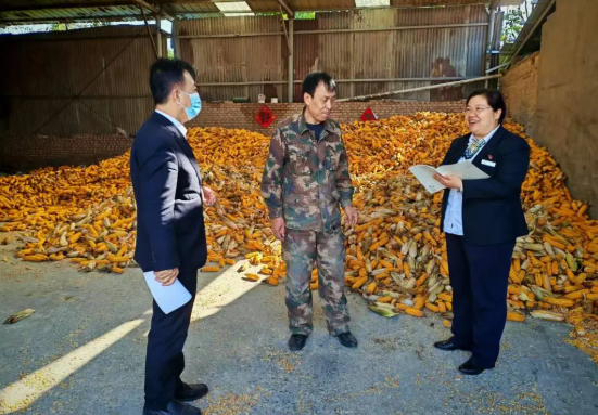 临汾曲沃农商银行：党建引领聚合力  多维服务护秋收