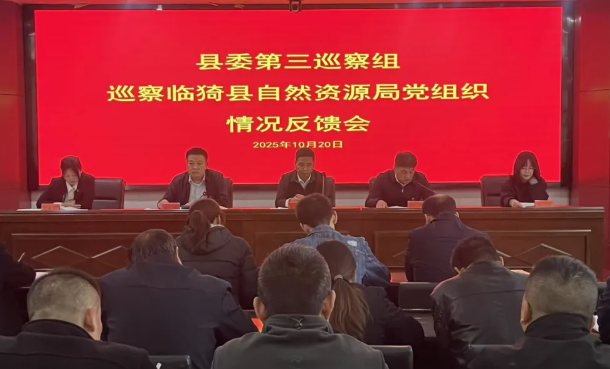 运城临猗县委第三巡察组向临猗县自然资源局党组反馈巡察情况