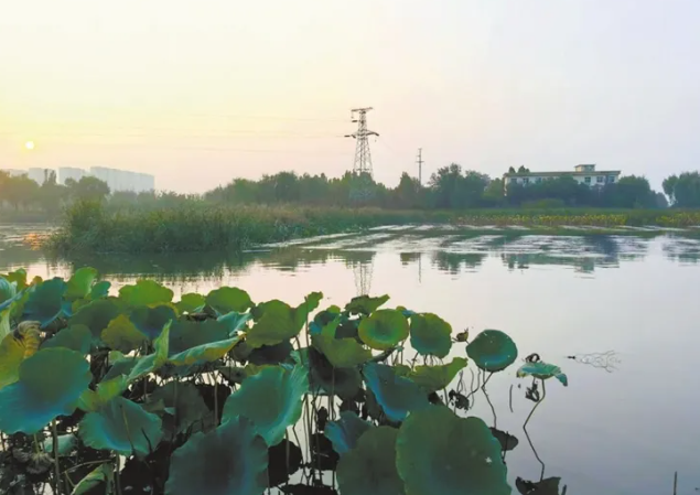 做足水文章  激活幸福源——回访临汾尧都区“一泓清水入黄河”生态保护工程