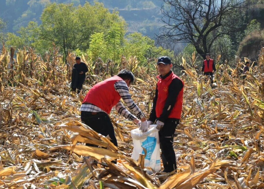 wechat_2025-11-03_143833_420.png