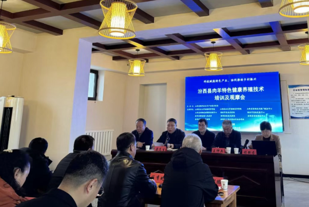 技术示范促提效  协同推广助增收——羊产业技术体系在临汾汾西县段村培训观摩大受欢