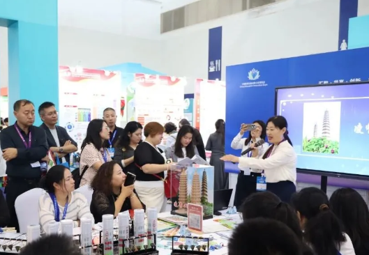 太原迎泽区双西小学教育创新成果亮相第七届教博会