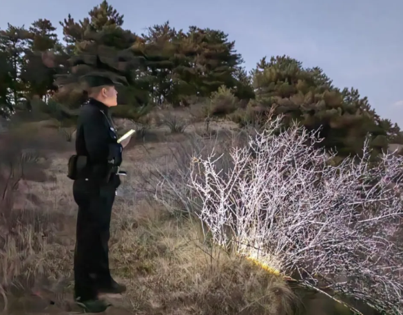 ScreenShot_2025-11-22_104728_495.png ScreenShot_2025-11-22_104728_495.png