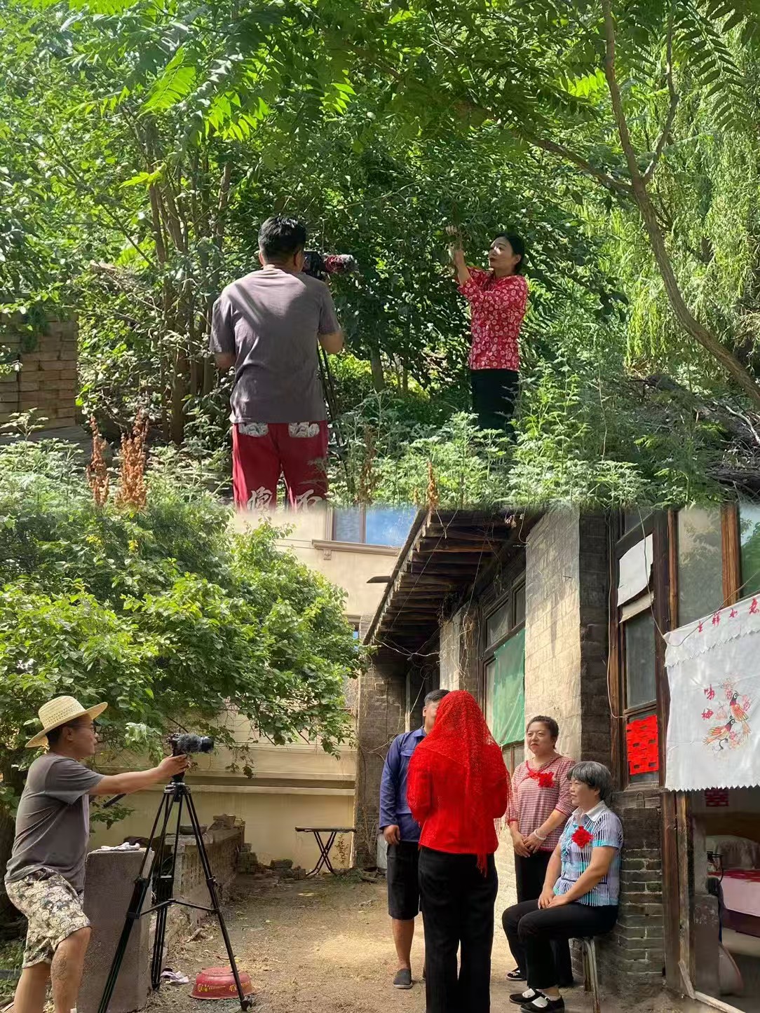 微信图片_20251204182556_13612_73.jpg 微信图片_20251204182556_13612_73.jpg