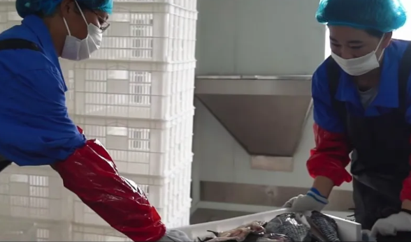 ScreenShot_2025-12-11_174324_634.png ScreenShot_2025-12-11_174324_634.png