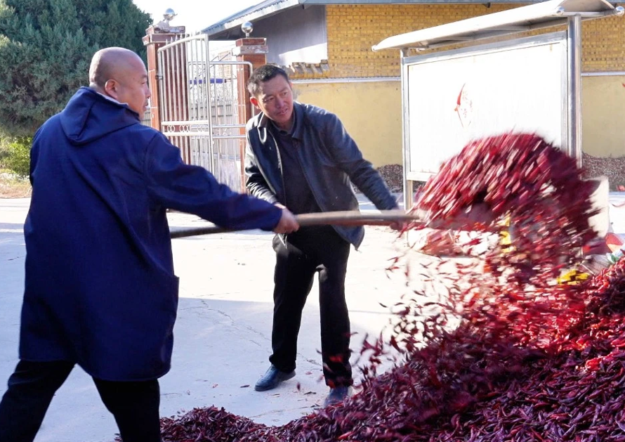 ScreenShot_2025-12-11_174324_634.png ScreenShot_2025-12-11_174324_634.png