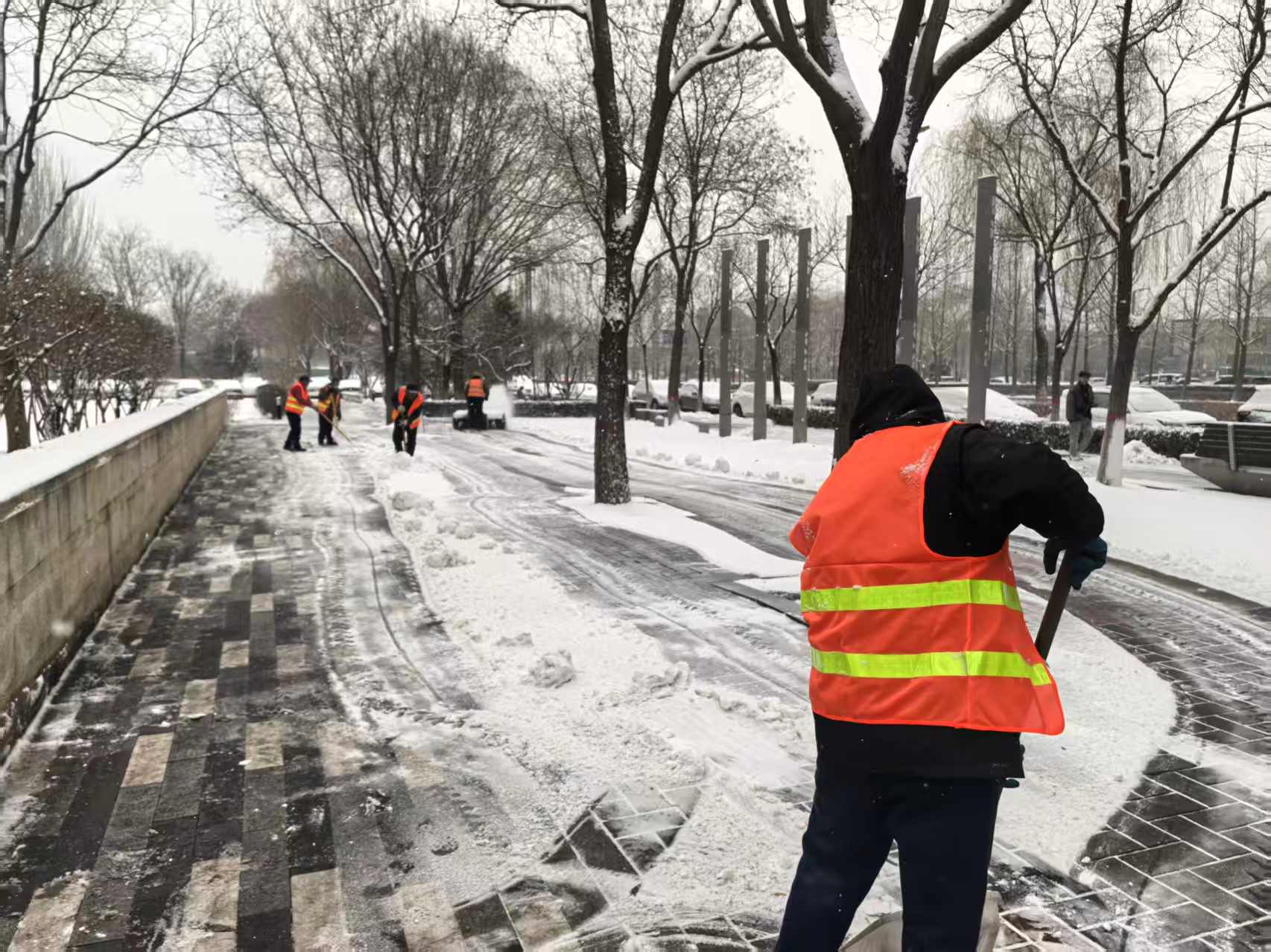 以雪为令  全员出击——太原市园林局全力开展城市绿地清雪除冰工作