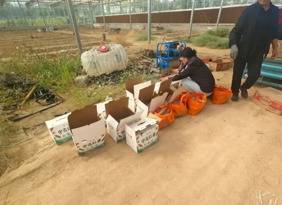 这场助农行动让宇文红薯“出圈”，太原尖草坪区唐槐批发部助力打开销路