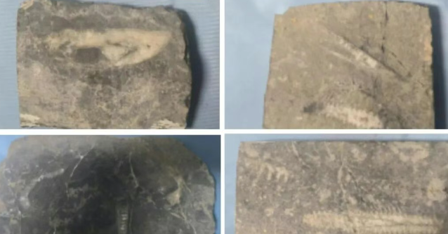 ScreenShot_2025-12-22_125029_504.png ScreenShot_2025-12-22_125029_504.png