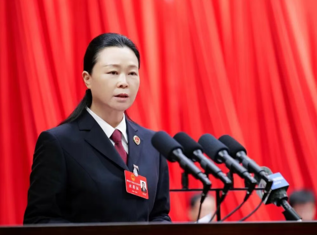 一图读懂丨晋城陵川县人民检察院工作报告