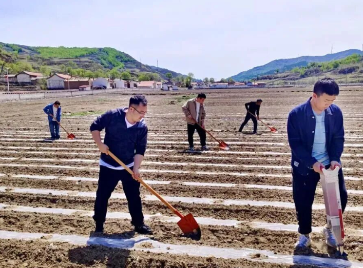 忻州宁武县迭台寺乡：党建红赋能乡土暖