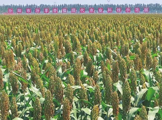 ScreenShot_2026-01-15_112448_929.png ScreenShot_2026-01-15_112448_929.png