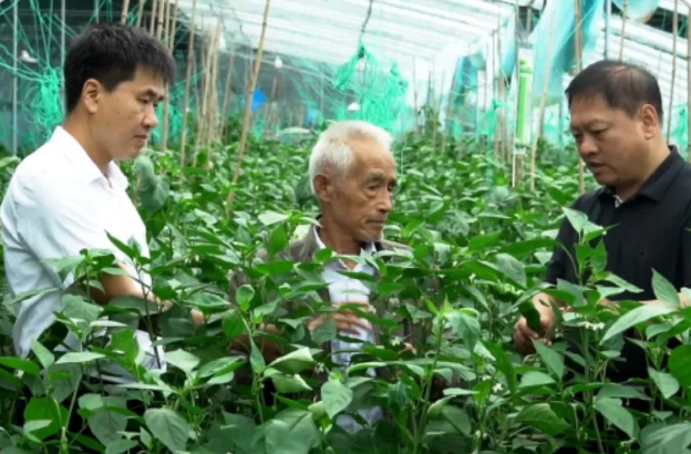 ScreenShot_2026-01-15_230225_860.png ScreenShot_2026-01-15_230225_860.png