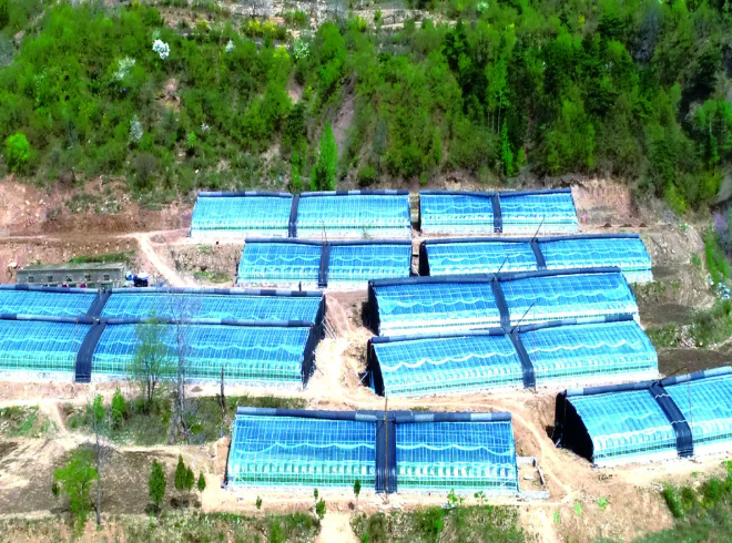 ScreenShot_2026-01-15_225957_828.png ScreenShot_2026-01-15_225957_828.png