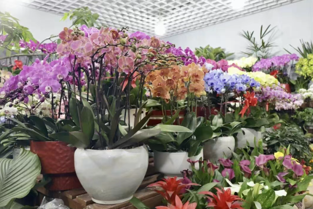 ScreenShot_2026-02-22_154826_446.png ScreenShot_2026-02-22_154826_446.png