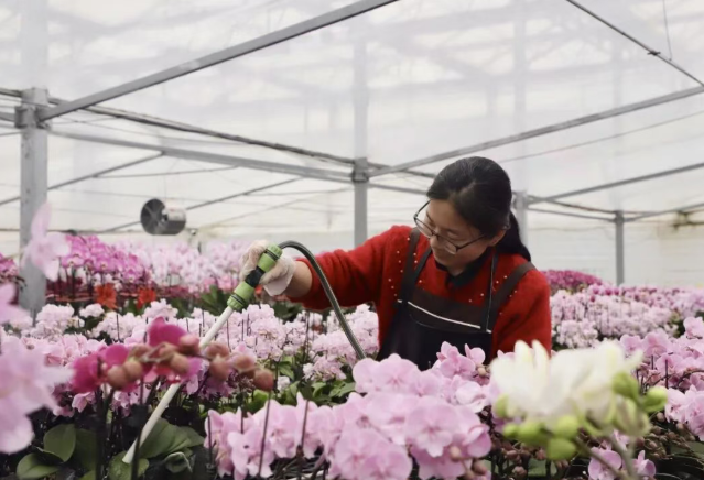 ScreenShot_2026-02-22_154836_701.png ScreenShot_2026-02-22_154836_701.png