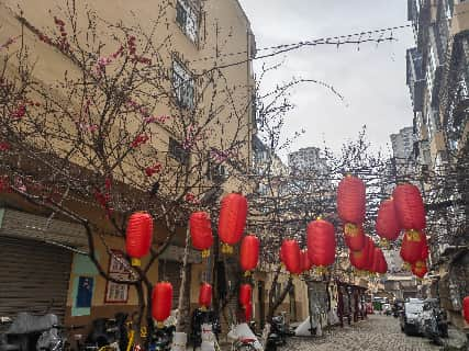 图片5.png 图片5.png