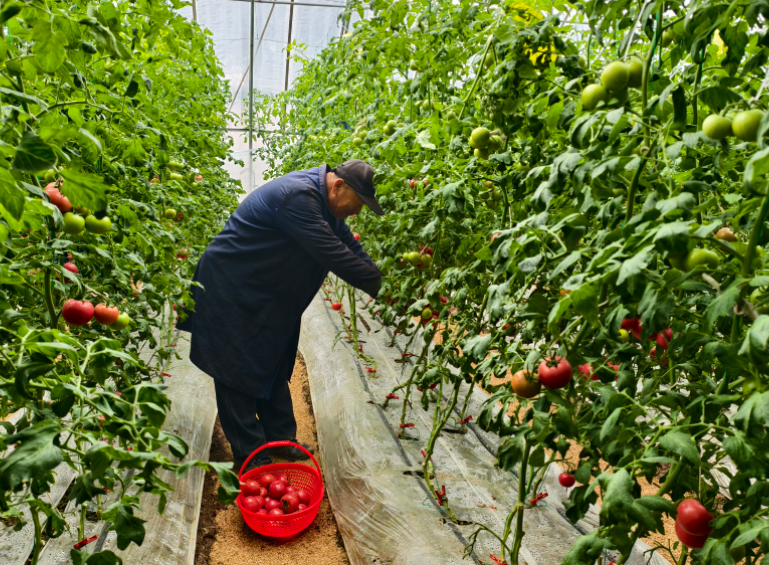 ScreenShot_2026-03-04_223754_424.png ScreenShot_2026-03-04_223754_424.png