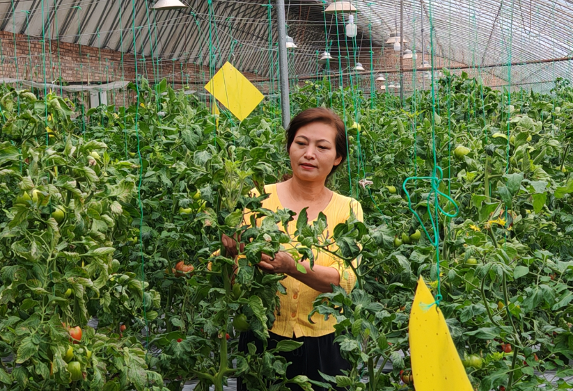 ScreenShot_2026-03-04_223734_616.png ScreenShot_2026-03-04_223734_616.png