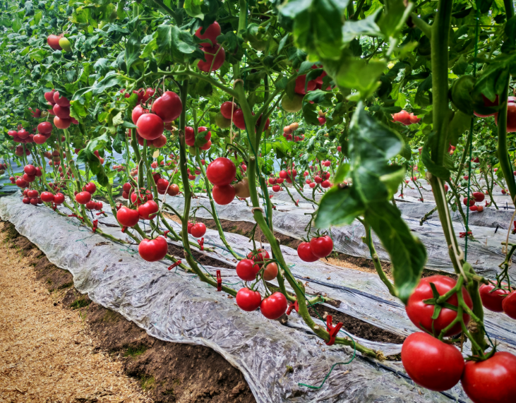 ScreenShot_2026-03-04_223807_504.png ScreenShot_2026-03-04_223807_504.png