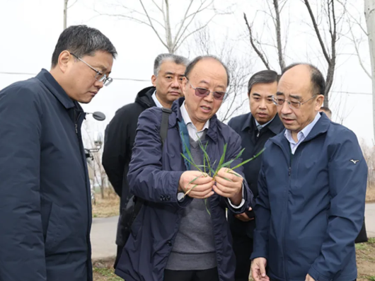 运城：姚逊到夏县调研冬小麦促弱转壮工作