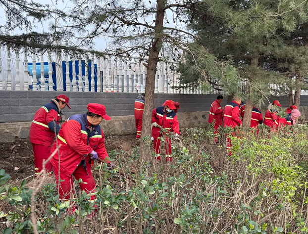 运城市市容环卫中心与园林绿化服务中心联合清理卫生死角