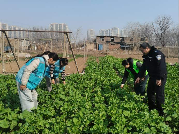 （廉政中国）春季踏查守净土 禁种铲毒在行动528.png